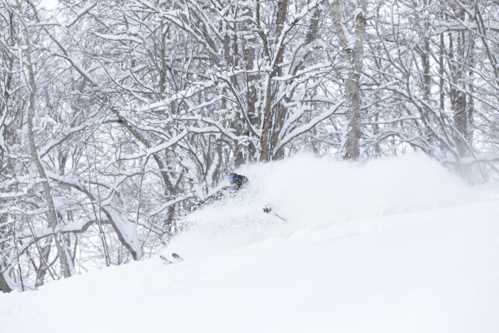 Niseko Highland Cottages エクステリア 写真