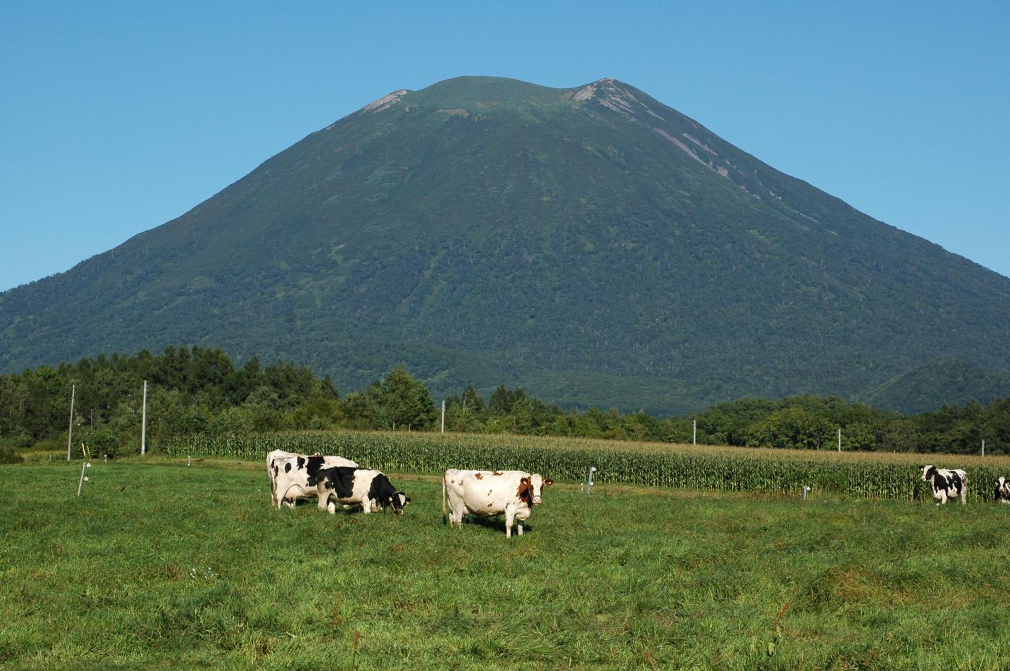 Niseko Highland Cottages エクステリア 写真