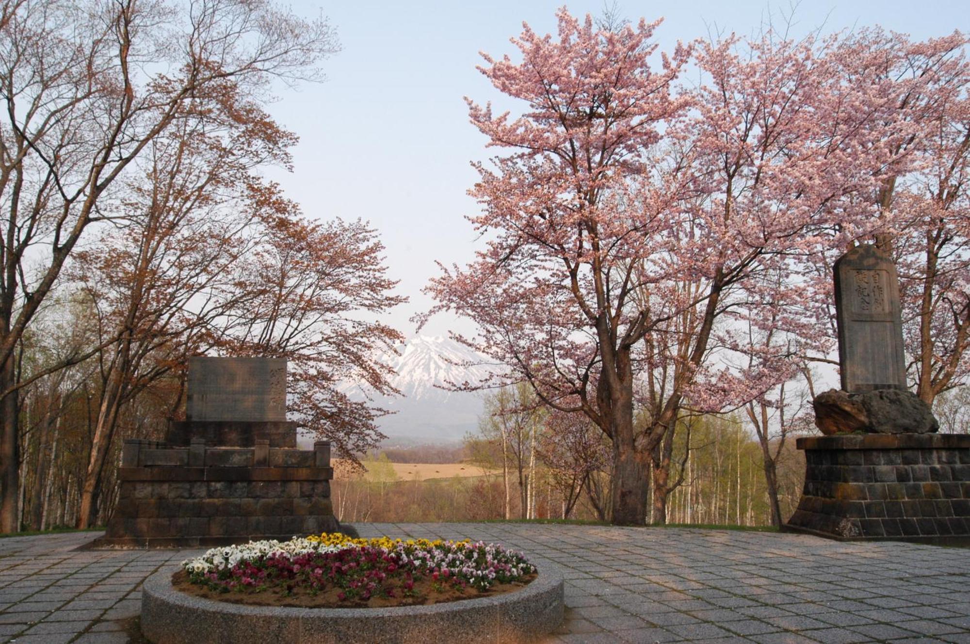 Niseko Highland Cottages エクステリア 写真